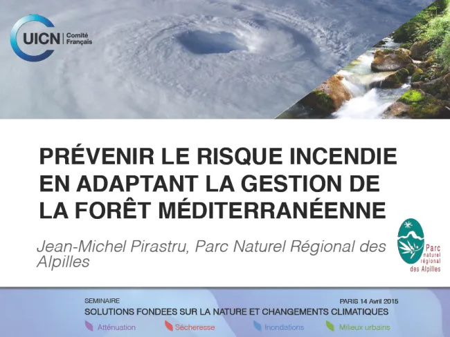 Prévenir le risque incendie en adaptant la gestion de la forêt méditerrannéenne