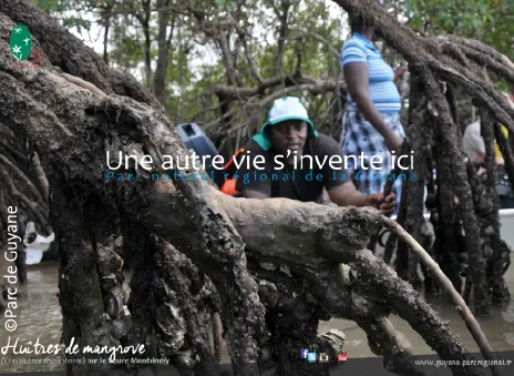 Dynamiser l'économie du territoire par la préservation des mangroves littorales
