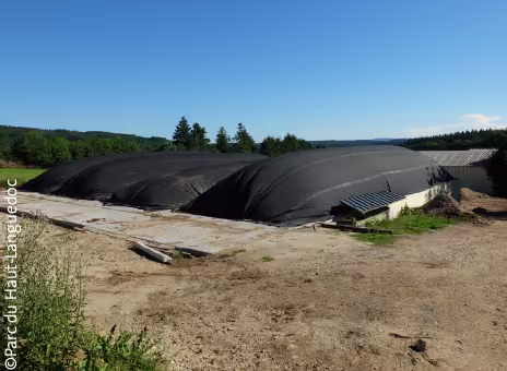 Quand le fumier produit de l’énergie verte…
