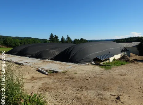 Quand le fumier produit de l’énergie verte…