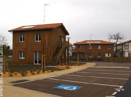 Le pin des Landes dans la construction