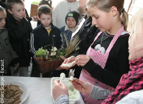 Gouvernance territoriale pour une alimentation durable