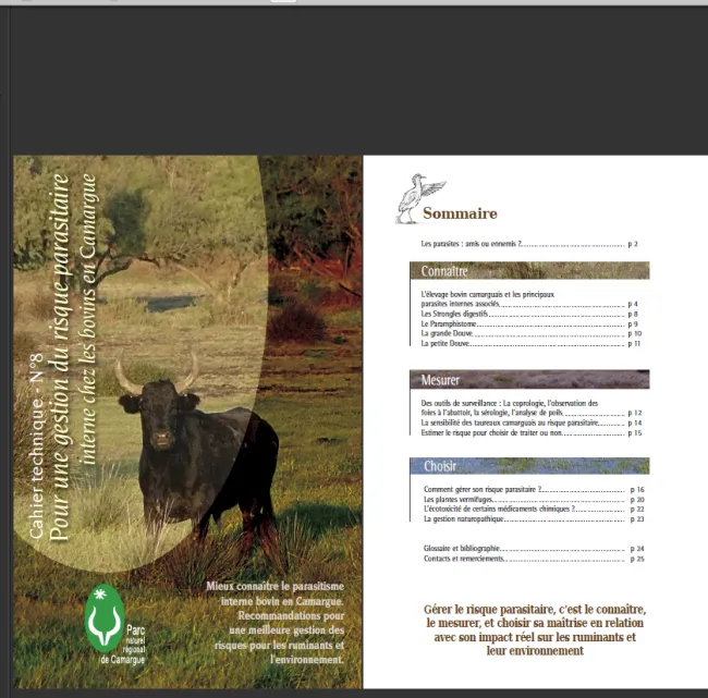 Pour une gestion du risque parasitaire interne chez les bovins en Camargue