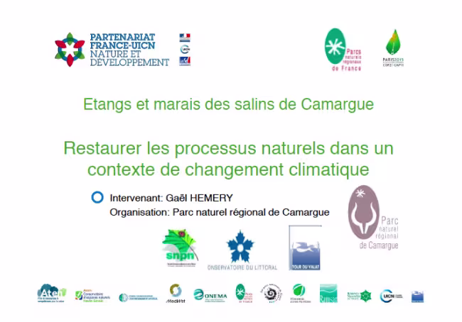 Etangs et marais des salins de Camargue - Restaurer les processus naturels dans un contexte de changement climatique