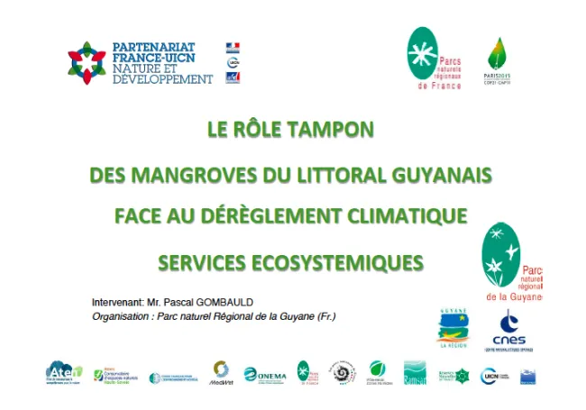 LE RÔLE TAMPON DES MANGROVES DU LITTORAL GUYANAIS FACE AU DÉRÈGLEMENT CLIMATIQUE SERVICES ECOSYSTEMIQUES