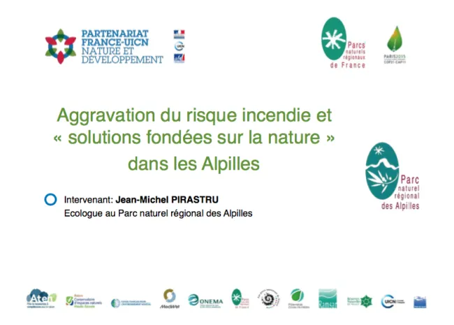 Aggravation du risque incendie et « solutions fondées sur la nature » dans les Alpilles