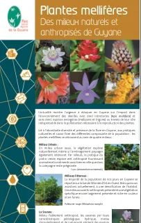 PLANTES MELLIFERES - DES MILIEUX NATURELS ET ANTHROPISES DE GUYANE