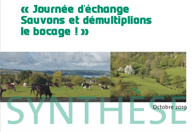 Synthèse de la rencontre "Sauvons et démultiplions le bocage" du 6 septembre 2019