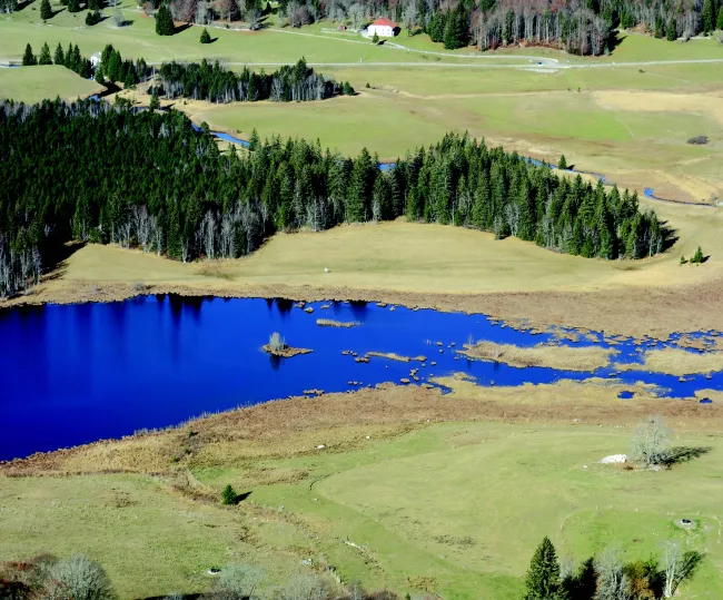 Restaurer les tournières du massif du Jura