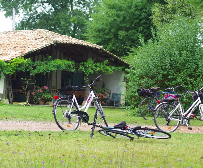Cap vers une organisation touristique 2020