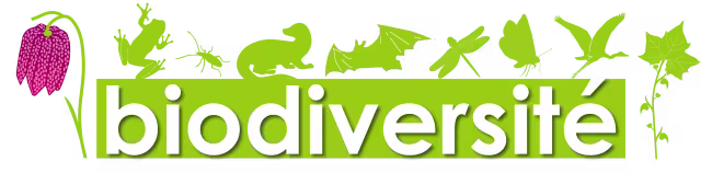 Loi sur la biodiversité : les Parcs naturels régionaux confortés dans leurs missions