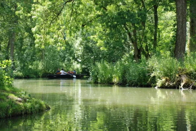 marais_mouilles_marais_poitevin-007.jpg
