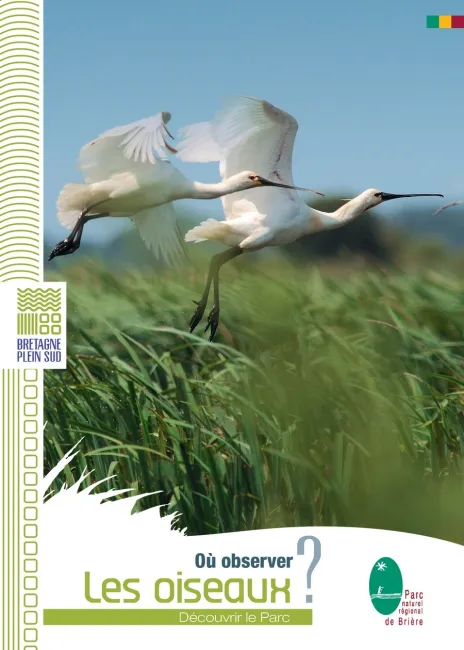 9 parcours à la découverte des oiseaux d'eau dans le Parc naturel régional de Brière