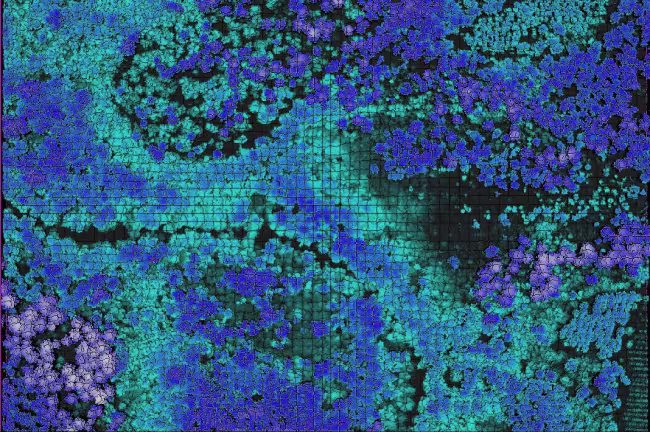 Les vallées de la Leyre sous télédétection LIDAR