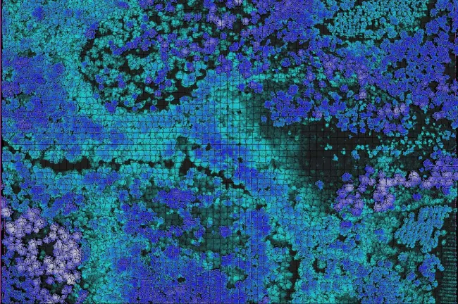 Les vallées de la Leyre sous télédétection LIDAR