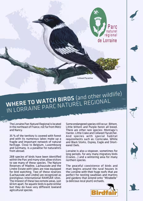 Where to watch birds in Lorraine Parc naturel régional