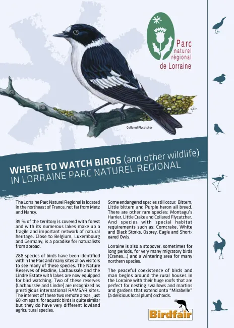 Where to watch birds in Lorraine Parc naturel régional
