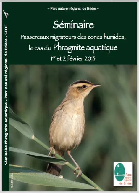 Séminaire passereaux migrateurs des zones humides : le cas du Phragmite aquatique