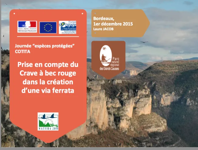 Prise en compte du Crave à bec rouge dans la création d'une via ferrata