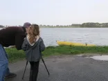 Ornithologie - PNR Golfe du Morbihan