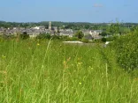 Tertre de Brandefer-Plancoet