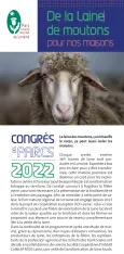 De la laine de moutons pour nos maisons