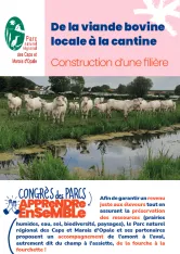 Caps et Marais d'Opale : de la viande bovine locale à la cantine, construction d’une filière
