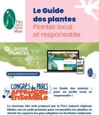 Médoc : le Guide des plantes, plantez local et responsable