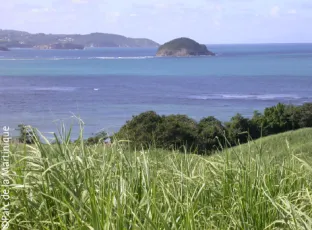 Agir avec le monde agricole : expérimentation de Dia'terre®