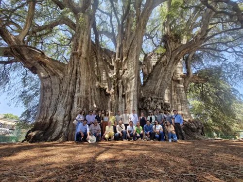 Coopération internationale au Mexique (c) Terraviva