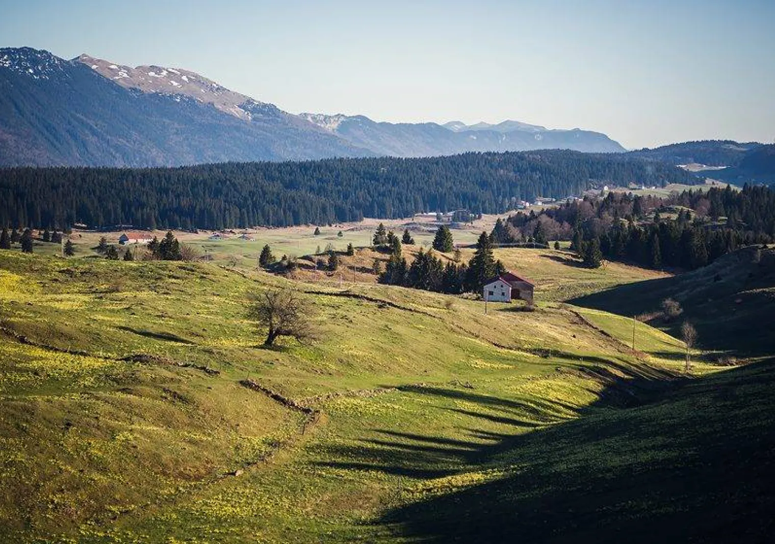 Parc naturel régional du Haut-Jura