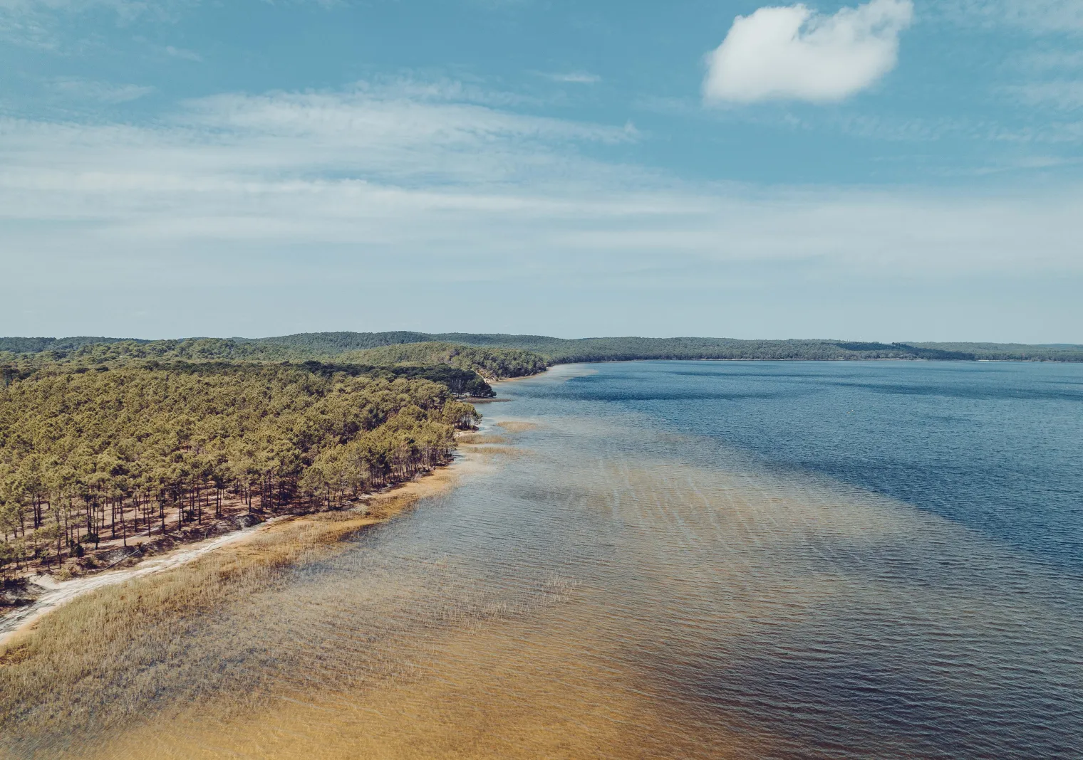 Parc naturel régional Médoc
