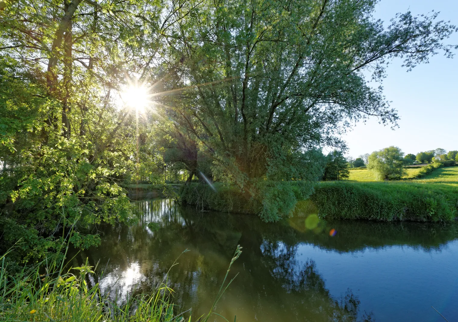 Parc naturel régional de l'Avesnois