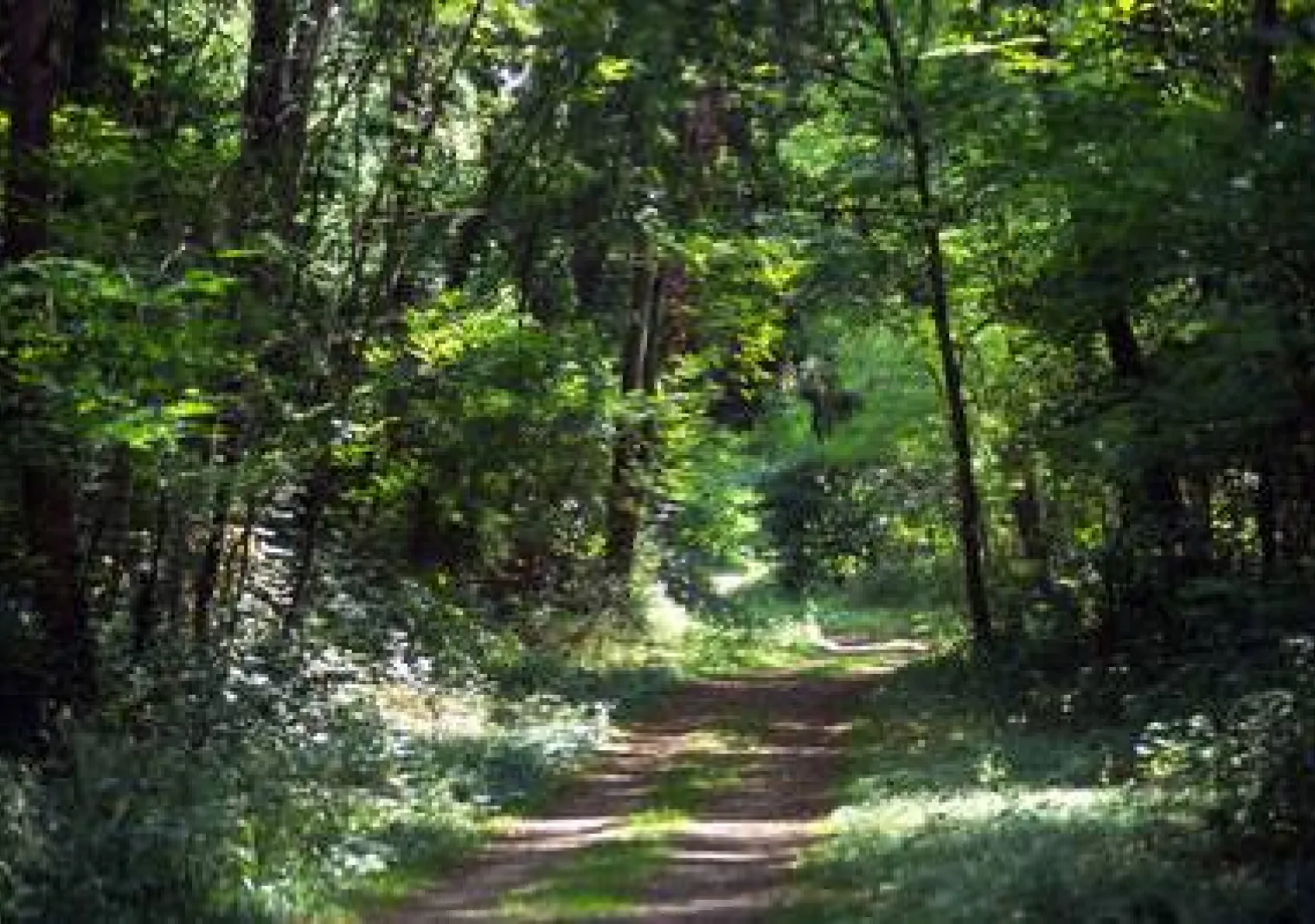 Parc naturel régional du Gâtinais français
