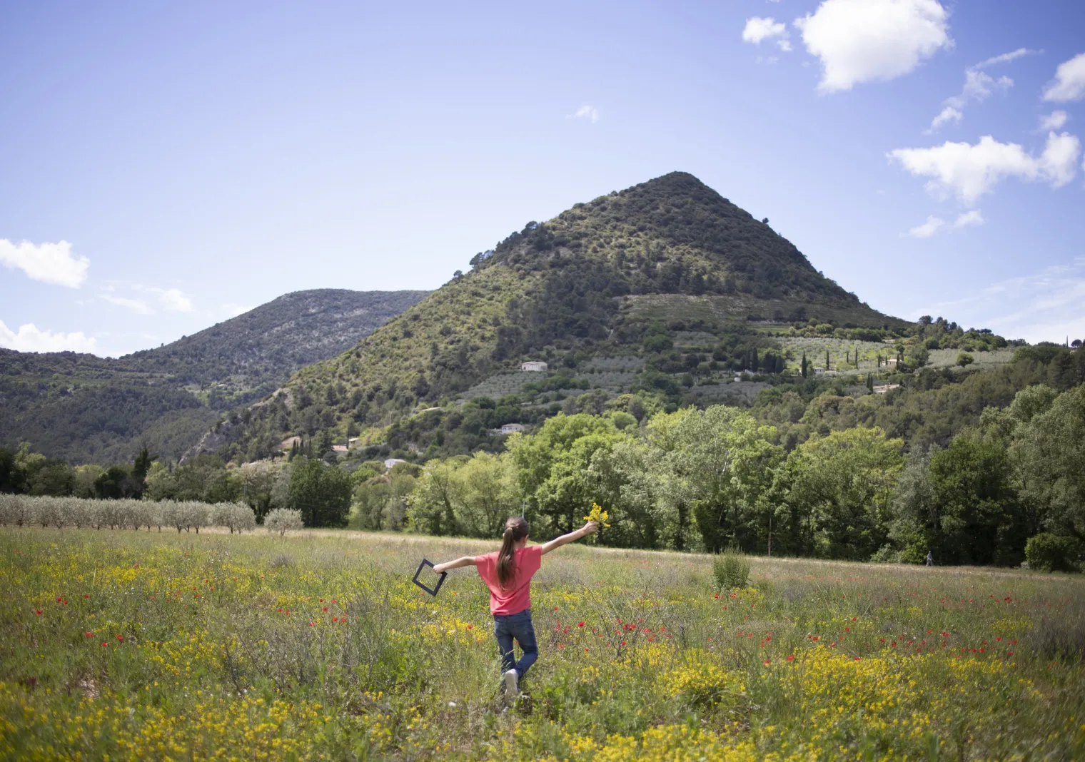 Parc naturel régional des Baronnies provençales