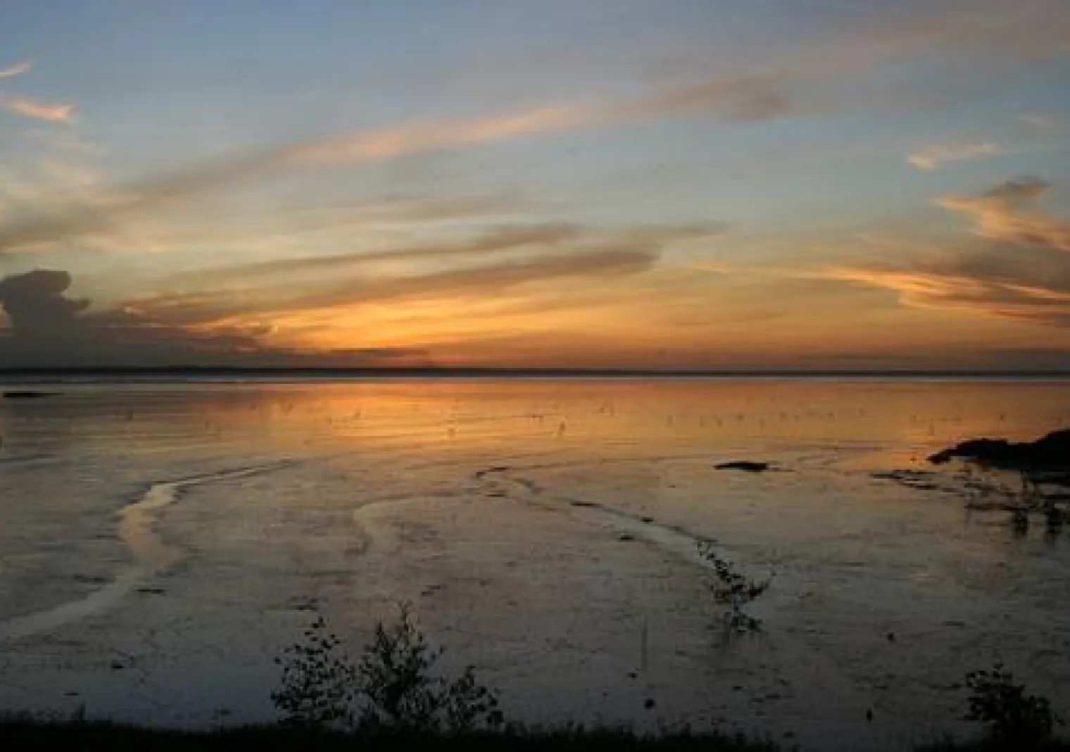 Parc naturel régional de la Guyane
