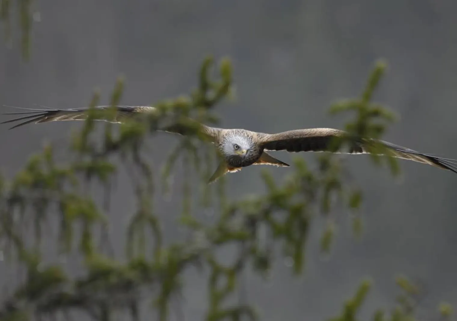 Parc naturel régional du Doubs Horloger