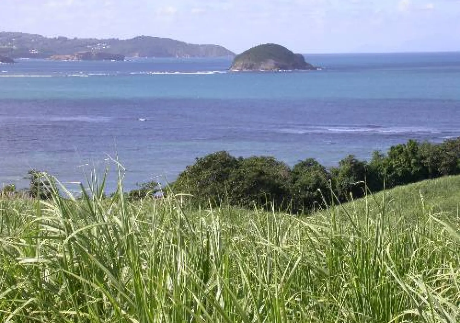Parc naturel régional de la Martinique