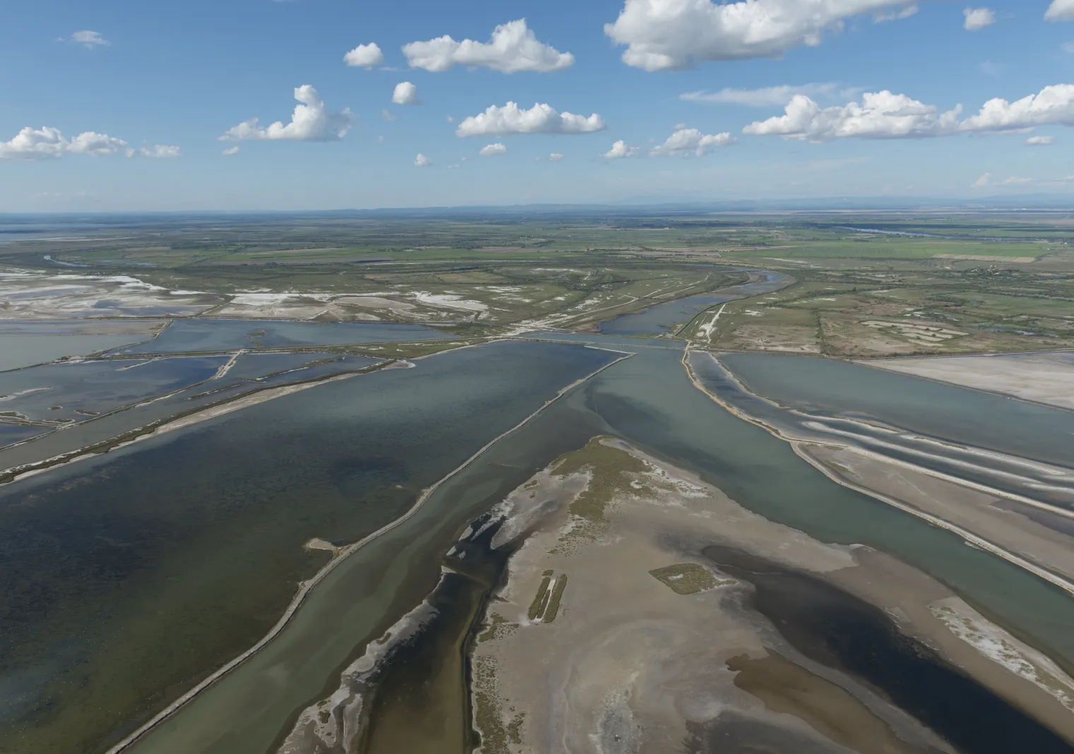 Parc naturel régional de Camargue