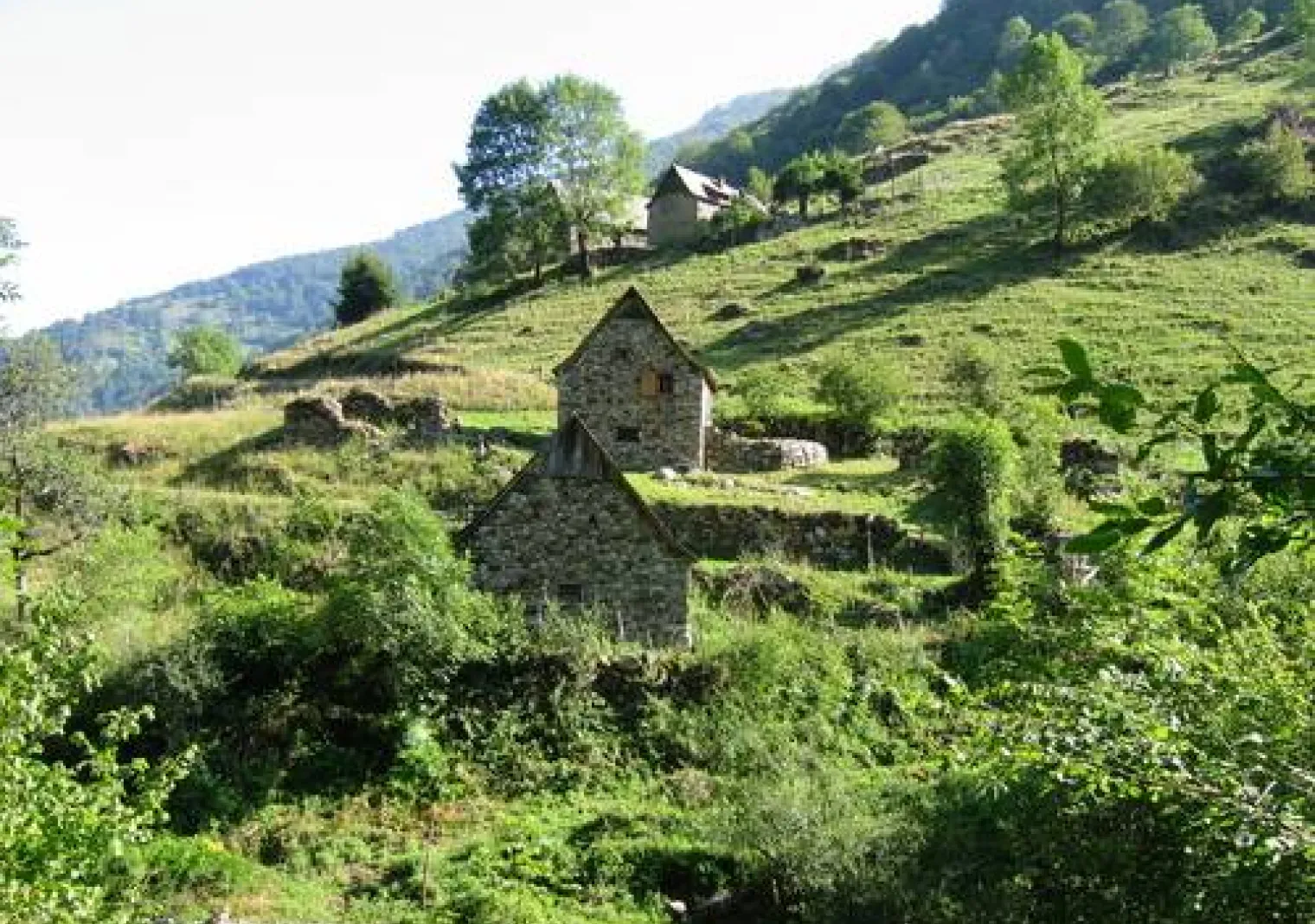 Parc naturel régional des Pyrénées Ariégeoises