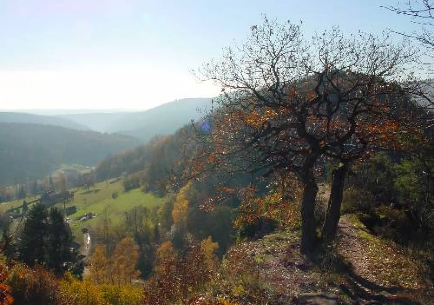 Parc naturel régional des Vosges du nord