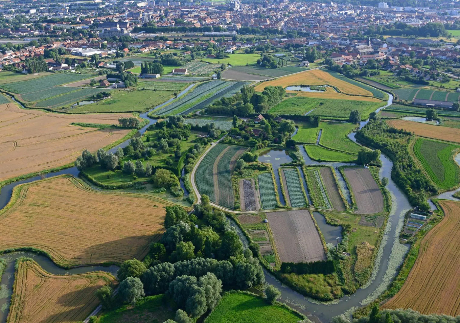 Parc naturel régional des Caps et Marais d'Opale