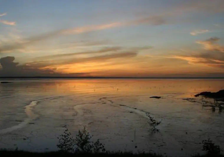 Parc naturel régional de la Guyane