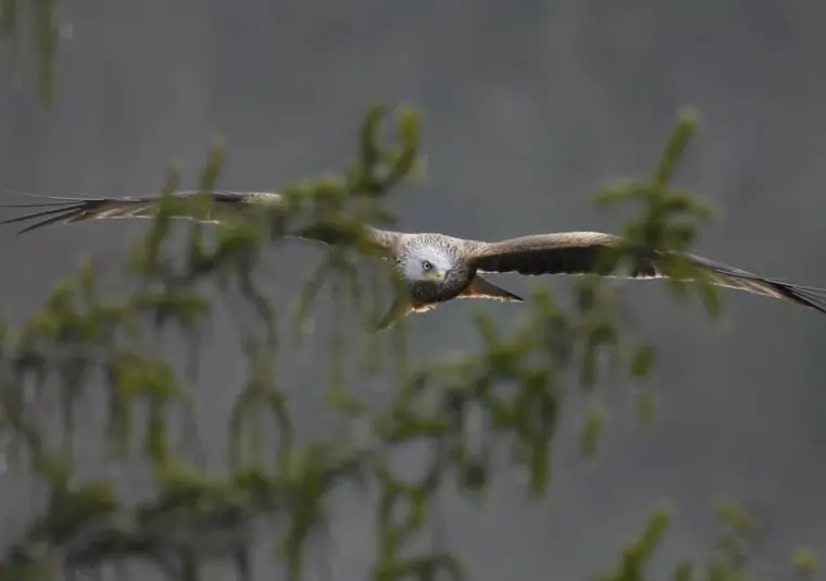 Parc naturel régional du Doubs Horloger