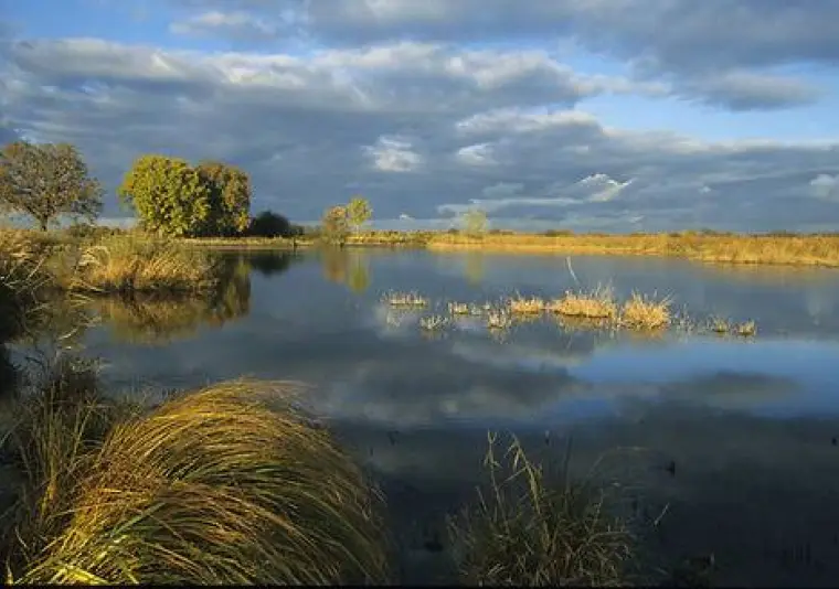Parc naturel régional de la Brenne