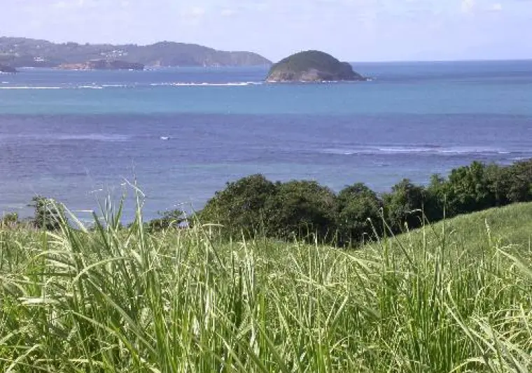 Parc naturel régional de la Martinique