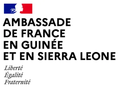 Ambassade France en guinée logo