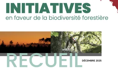 Recueil d'initiatives en faveur de la biodiversité forestière
