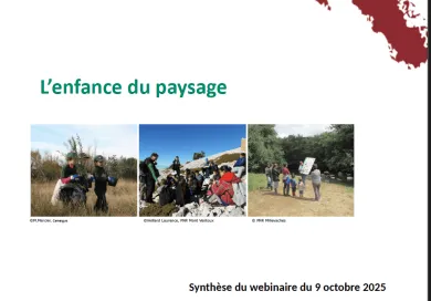 Synthèse webinaire L'enfance du paysage du 9 octobre 2025