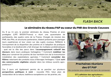 PAPille juillet 2026